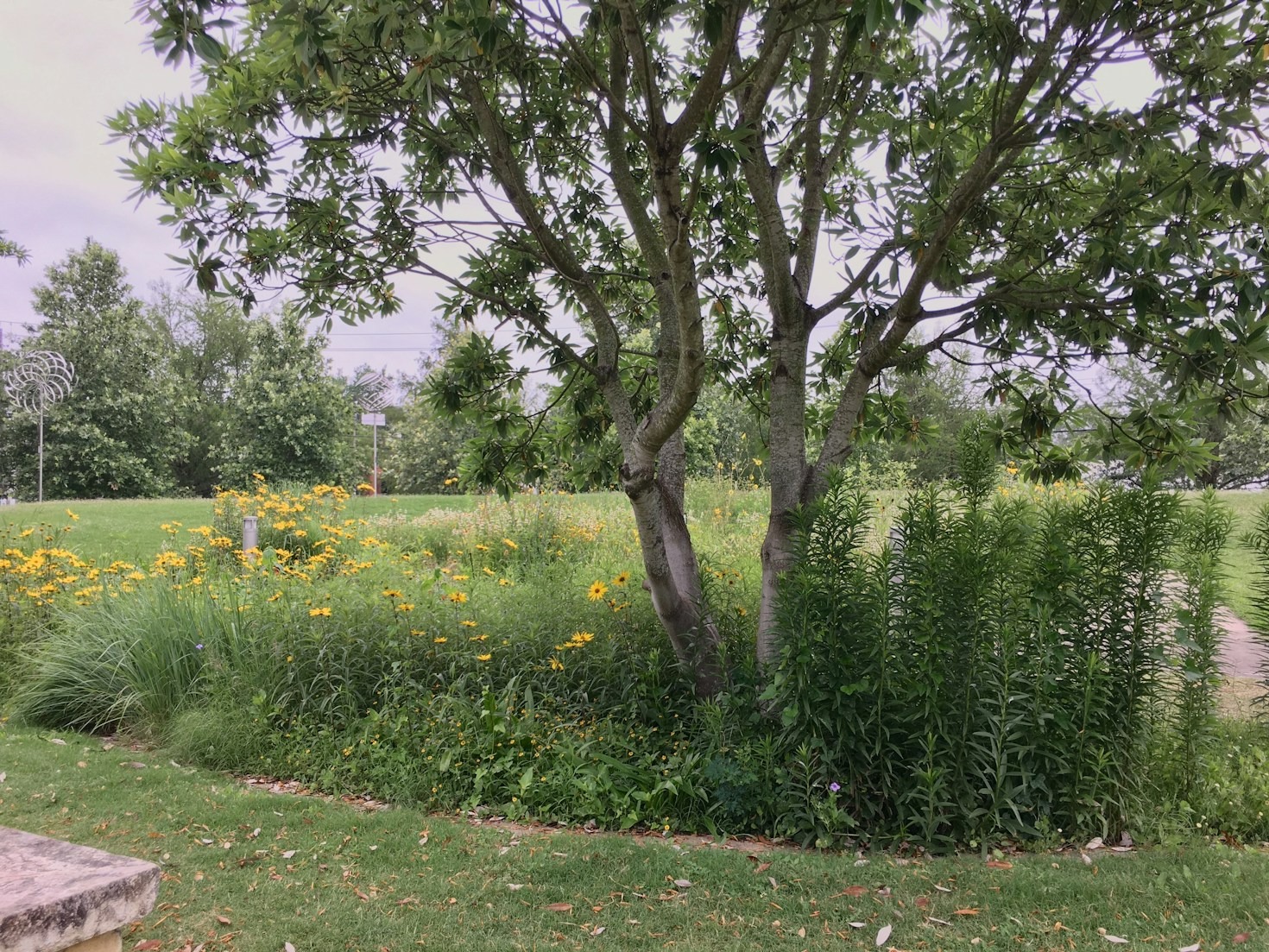 Why Small-Batch Honey Tastes Better: Insights from the Apiary